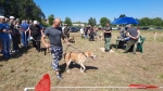 В Сухиничах собрались собаководы со всей Калужской области