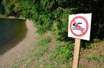 Популярный водоём в Калуге находится под угрозой исчезновения