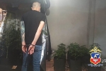 В течение пяти лет мужчина выращивал в своем огороде тысячи кустов конопли и попался
