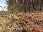 В Обнинске и двух районах ввели особый противопожарный режим