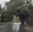 Непогода вновь устроила древопад в Калуге