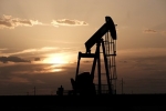 Новак рассказал о планах долгосрочного соглашения о поставках нефти в Индию