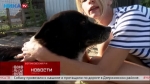 «Живая среда». Пес Морячок ищет тихую гавань