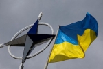 В США заявили о сомнениях Зеленского о вступлении Украины в НАТО