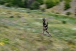 Стало известно о взятии под контроль ВС РФ еще одного населенного пункта в ДНР