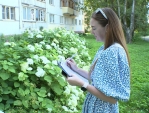 Комиссия приступила к оценке самых красивых дворов и палисадников Калуги