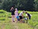 Аграрный летний лагерь организовали для школьников в Обнинске