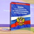 Калужан предупреждают о штрафах за вырубку лесных насаждений