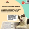 Калужанам рассказали, как сохранить активность и функциональность мозга на долгие годы