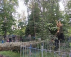 Ураган завалил деревьями кладбище в Жиздре