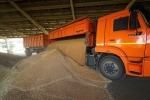 Азиатская страна резко увеличила закупки российской агропродукции