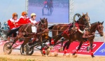Таруса приглашает на ежегодный фестиваль орловского рысака