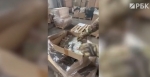 ФСБ накрыла производство фальшивых сигарет на 800 млн рублей на калужской фабрике