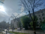 Понедельник в Калуге будет солнечным