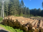 От «Лесных далей» начали отодвигать лес