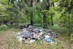 В Калужской области 4 года не могут убрать огромную лесную свалку