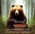 Калужанам рассказали, как обезопасить себя от встречи с медведем