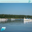 На Яченском водохранилище прошла «Студенческая регата»