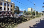 На калужской улице спилили деревья в обход Общественной палаты?