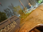 Лиса пришла в гости к людям