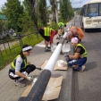 Дорога в женских руках