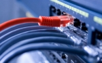 Роскомнадзор заблокировал 82 интернет-магазина, нелегально торгующих ветпрепаратами