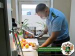 Россельхознадзор забраковал 25% купленных для соцучреждений продуктов