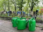 Молодежи предложили разработать дизайн-проекты озеленения