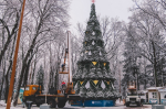 Новогоднюю ель наряжают в парке Калуги