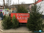 Калужский бизнес не заинтересовала торговля елками