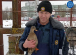 В Обнинске спасли упавшую через переливной затвор уточку