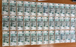 Двух женщин в Калужской области будут судить за организацию незаконной миграции