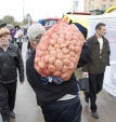 Калужские магазины намерены торговать картошкой себе в убыток