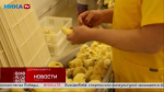Журналистам Ники ТВ показали, как работает калужская птицефабрика