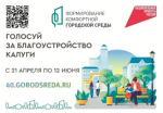 Более 38 тысяч калужан отдали свои голоса за комфортную среду