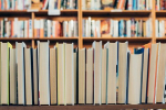 В закупку на 414 тысяч рублей для депутатов Думы попали книги о русофобии и ядерных бомбах